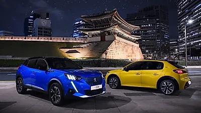 푸조,  전기차 야간 시승행사 "라이언 라이트'를 시행