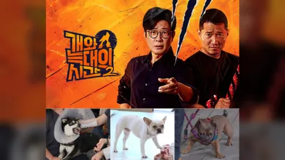 '개늑시', que superó las 300 millones de vistas en redes sociales, con Heukmi y Gu-eok