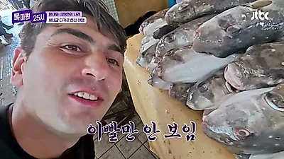 세네갈 다카르 시장의 '웃는 생선'과 고래섬에 새겨진 노예 무역의 비극