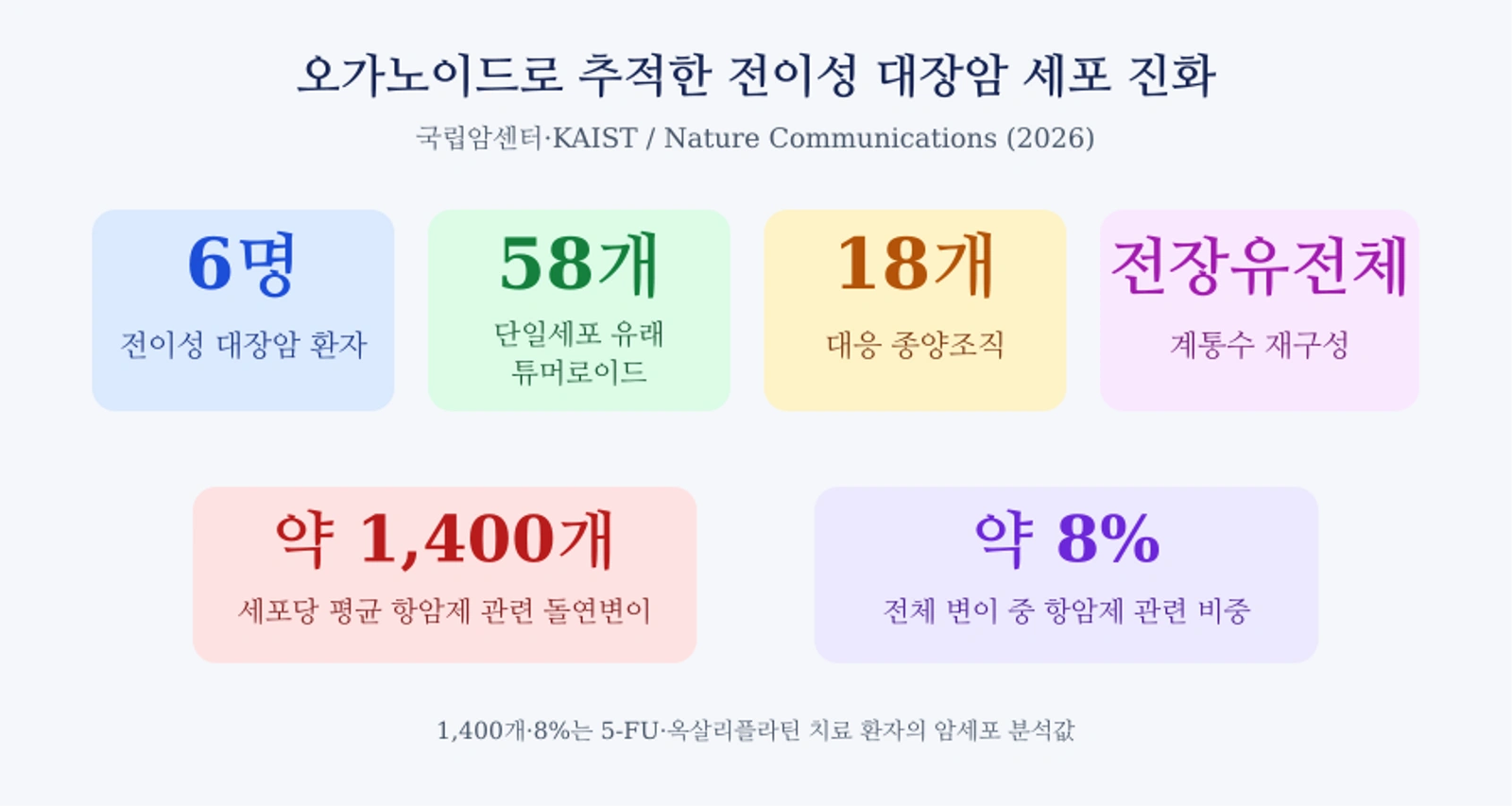 전이성 대장암 오가노이드 연구의 분석 규모와 항암제 관련 변이