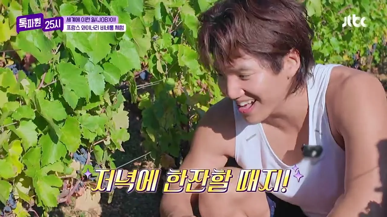 부르고뉴 포도밭의 고된 노동, 갓 짜낸 포도즙의 달콤함으로 달래다