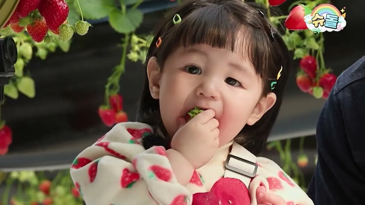 Family Teases Haru as "Drunk on Strawberries" After Farm Visit Where Eating Beat Picking