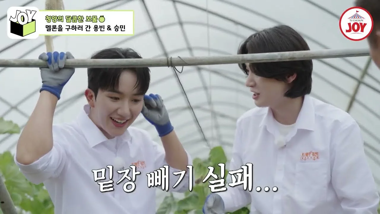 Kim Yong-bin y Nam Seung-min, duelo de cosecha de melones... la competitividad llega hasta una apuesta por la cena