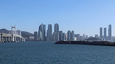 부산사회조사 20일 시작…쓰레기·반려동물 새로 묻는다