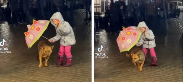 사진출처='@olena926' TikTok