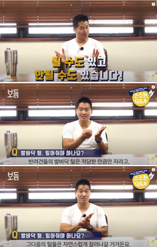 사진출처=YouTube '강형욱의 보듬TV'