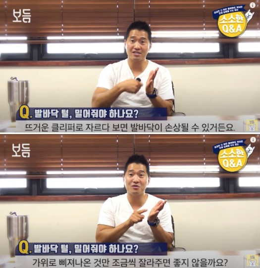 사진출처=YouTube '강형욱의 보듬TV'