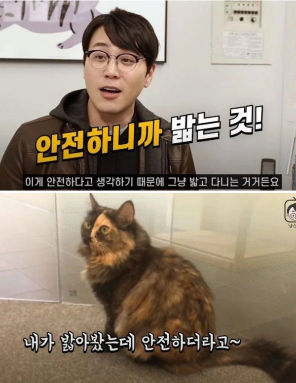 사진출처=YouTube '냥신TV'