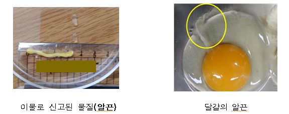 먹어도 되는 축산물 이물질 사례 소개 (사진 5)