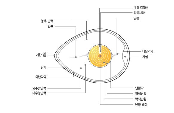 먹어도 되는 축산물 이물질 사례 소개 (사진 4)
