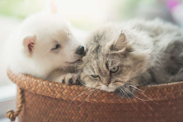 사진출처=gettyimagesbank