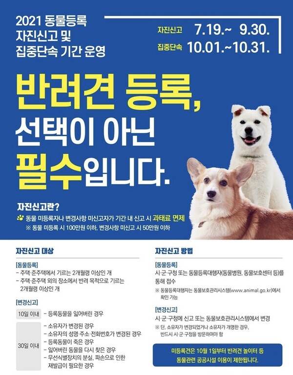 "동물등록해서 개민증 만드세요" 9월까지 자진신고하면 과태료 면제 (사진 1)