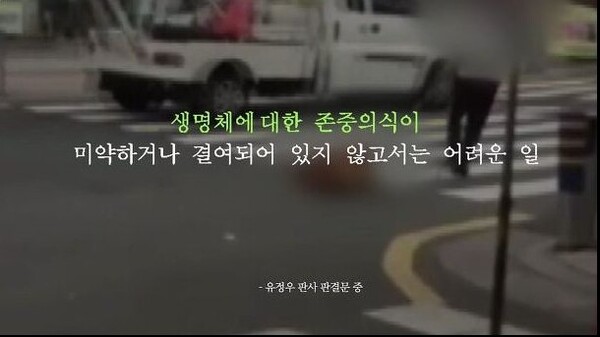 잔혹한 동물 학대 사이다 같은 판사 '판결문' (사진 3)