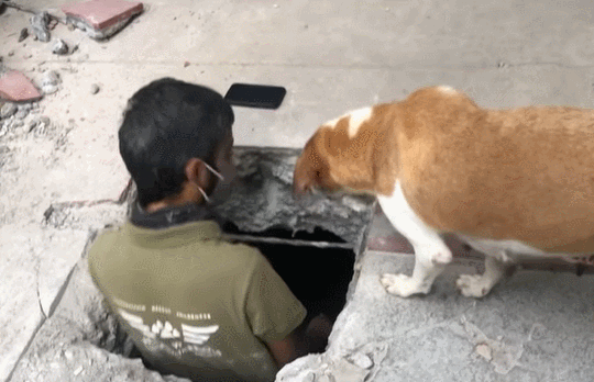 사진출처=YouTube 'Animal Warriors Conservation Society'