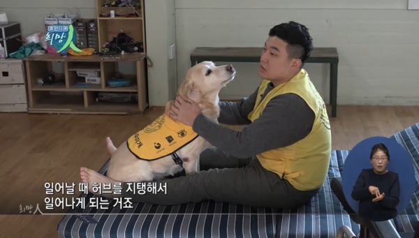 "안내견 아닌 '장애인 도우미견' 입니다" 바껴야 하는 우리의 인식 (사진 3)