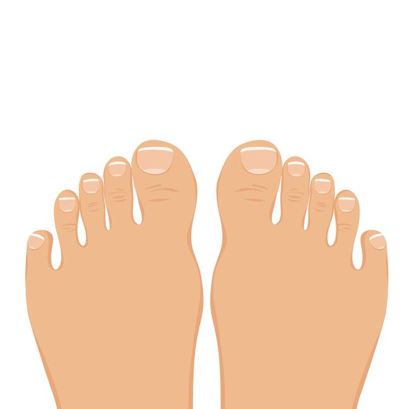 발톱으로 보는 건강 상태 (사진 2)