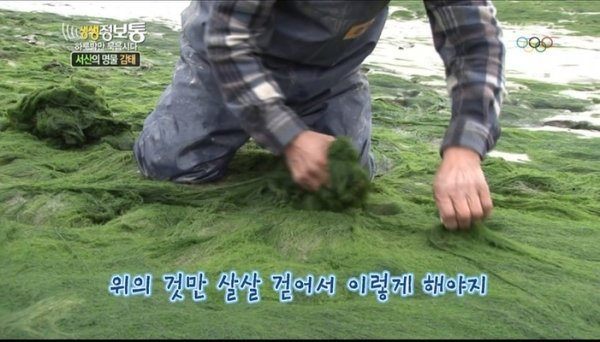 불면증에 좋은 음식 '감태' 효능 및 부작용 (사진 1)