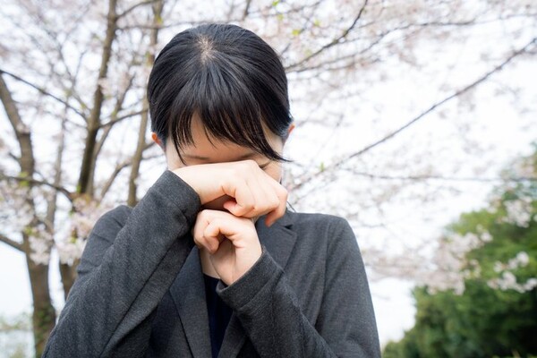 불면증에 좋은 음식 '감태' 효능 및 부작용 (사진 2)