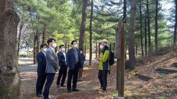 숲으로의 초대 채종원 숲길 걷기 (사진 3)