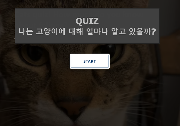 [집사 자격 퀴즈] 고양이에 대해 얼마나 알고 있을까? (사진 2)